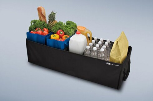 Discover Ford Bronco Accessories in PR, Cargo Organizer - Soft-Sided Large, Folding, Ford Logo